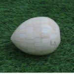 Leelawati Arts : Wooden Bone Egg Shape Table Decorative Item Paper Weight - Image 3