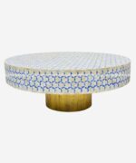Wood Bone Inlay Coffee Table