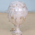 Mother Of Pearl Unique Box