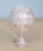 Mother Of Pearl Unique Box